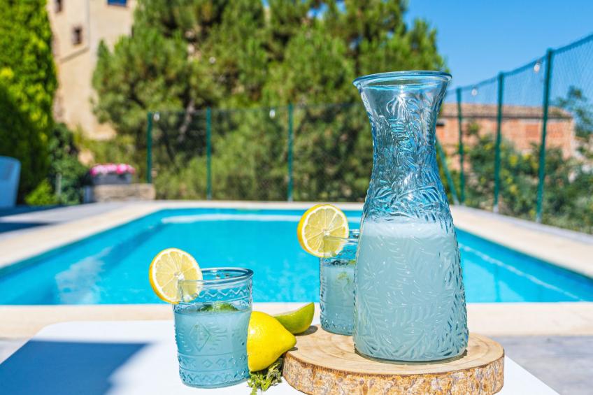 Ländliches Haus Cal Xamora - foto 14