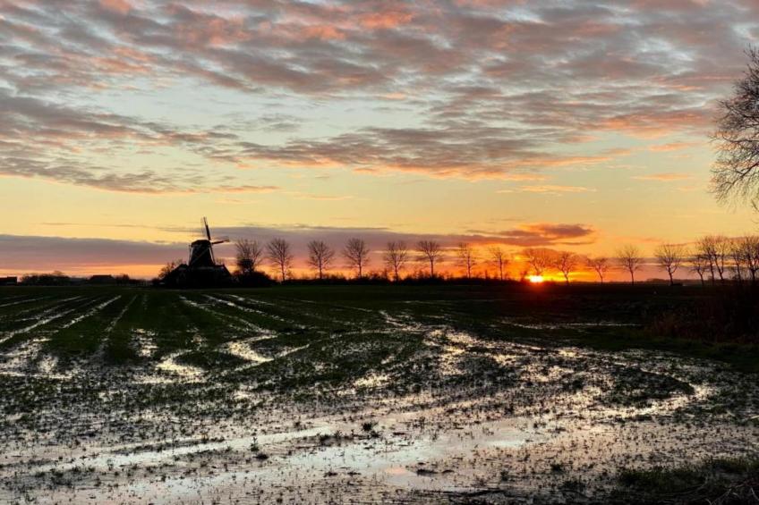 Boerderij uit 1866 in Friesland - foto 37