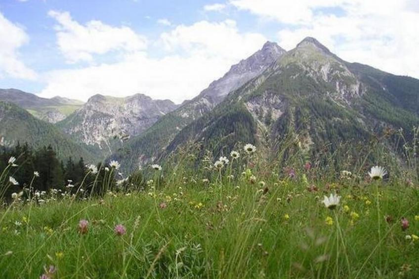 Pensiun Tung - foto 7