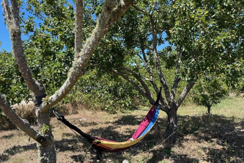 Schönes Landhaus mit Tauchbecken, Strand 3km - foto 8