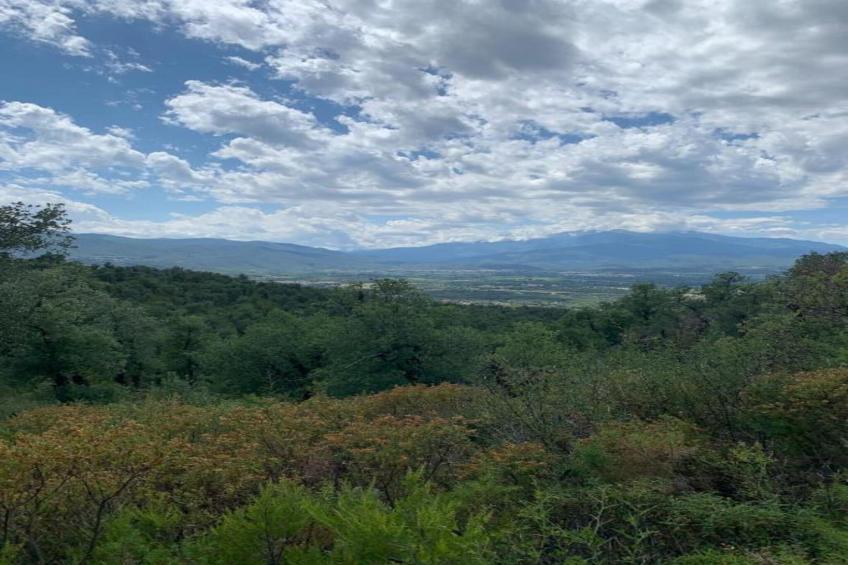 La maison Mer et Thermes - foto 32