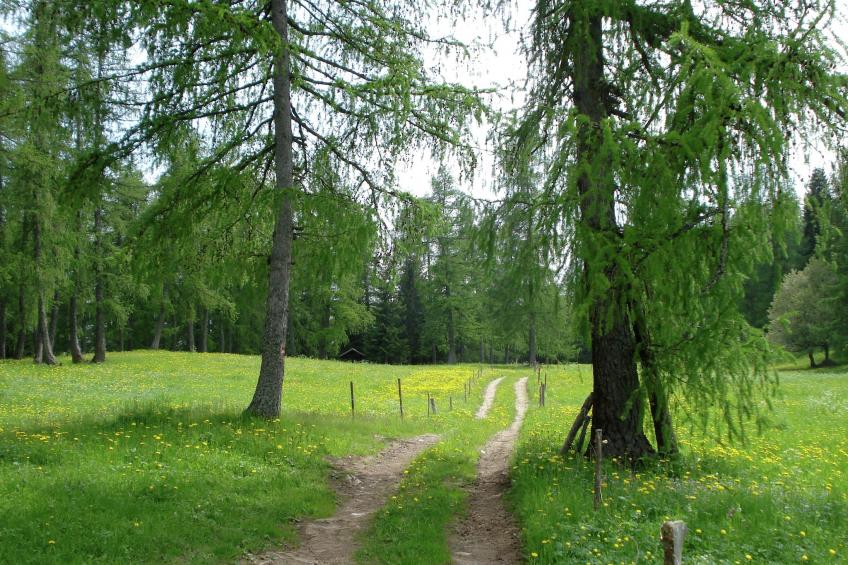 Renetta Mansarda - foto 17