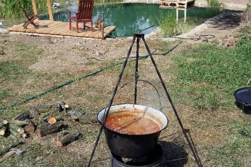 mit biologischem Schwimmteich - foto 11