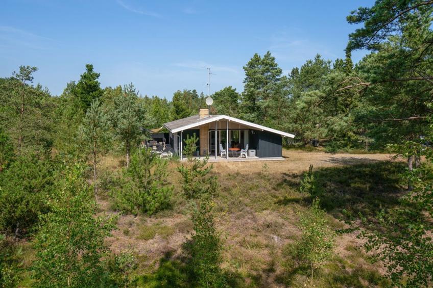 "Adelisa" - 600m from the sea in NE Jutland - foto 17