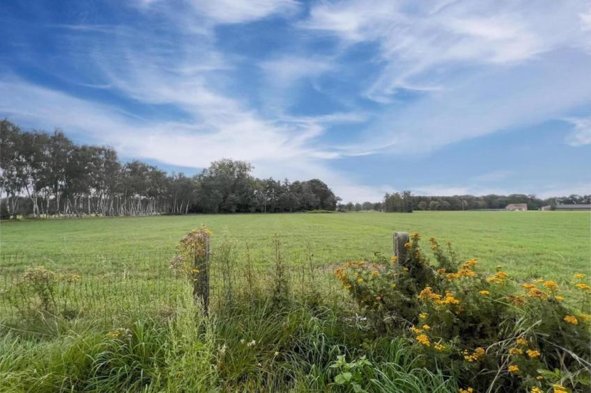 Ranger Lodge - foto 38