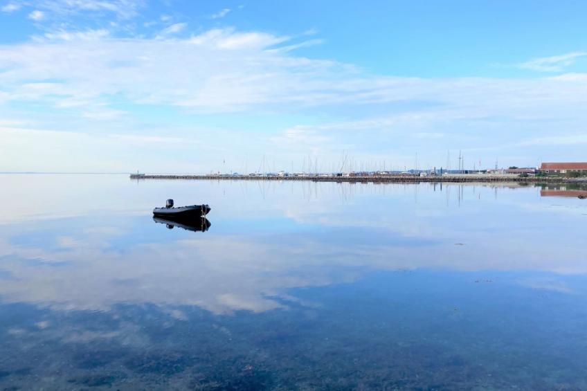 "Toska" - 100m to the inlet in Sealand - foto 48