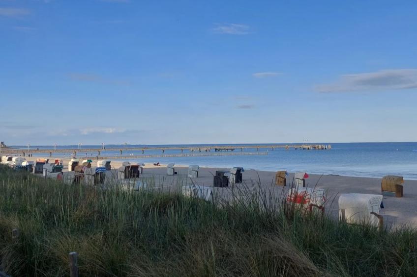 Nr4 Müritzsee 2 Personen - foto 39