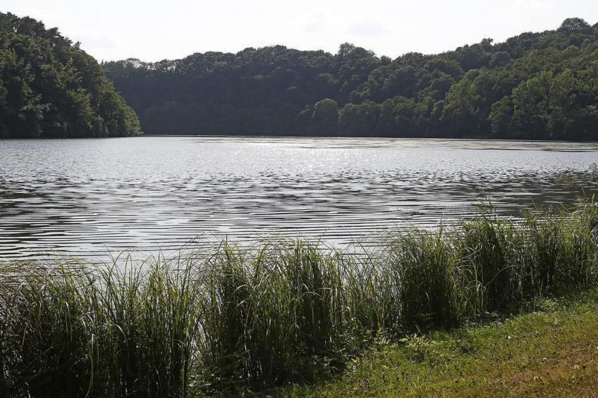 mit Garten im Naturpark Südeifel - foto 15
