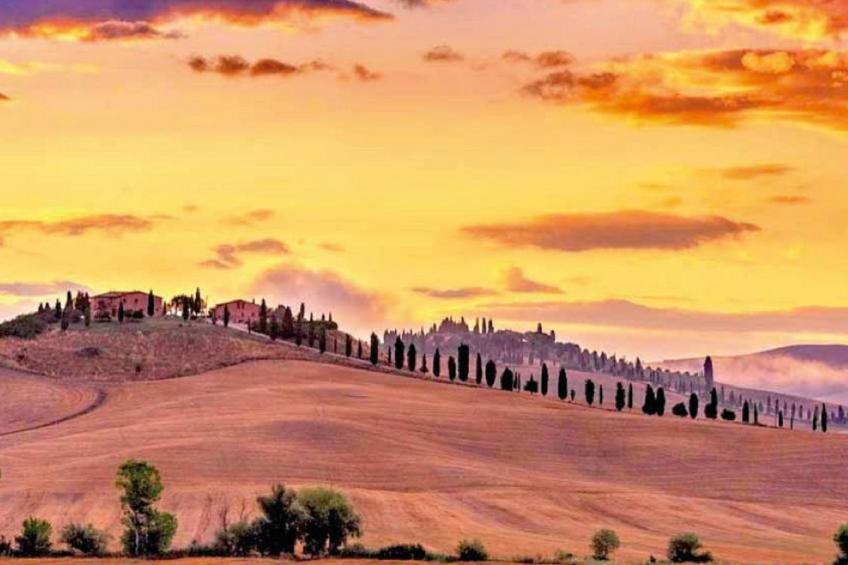 'Molinello albicocco' - foto 42