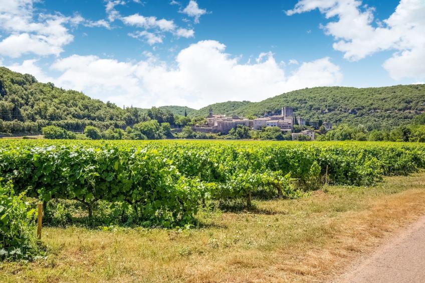 Maison de vacances - MONTCLUS - foto 37