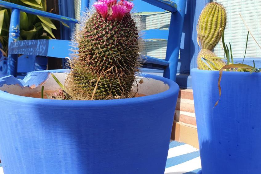 Das Lotus-Haus - foto 49