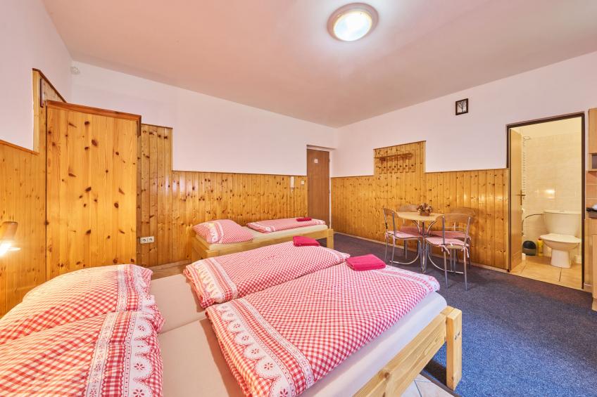 U Švýcarského dvora III - foto 8