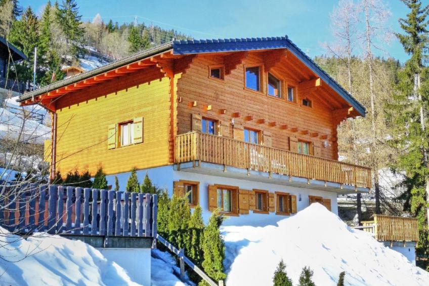 Chalet Michelle - foto 3