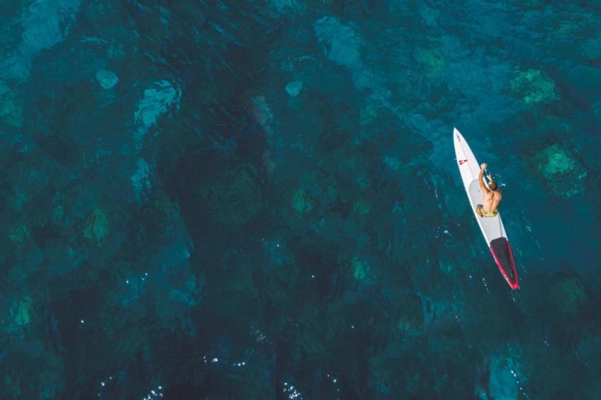 Gorgonia S2 - foto 32