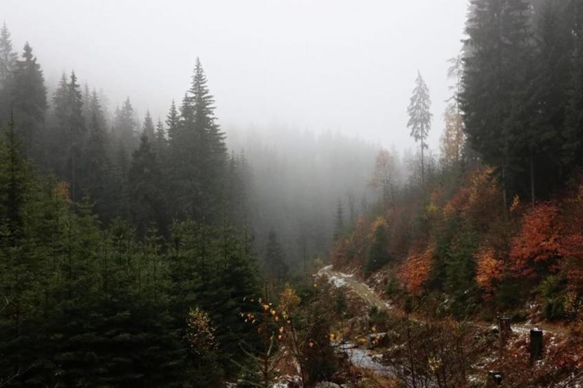 Gruppenferienhaus nähe Kurort Oberwiesenthal - foto 36