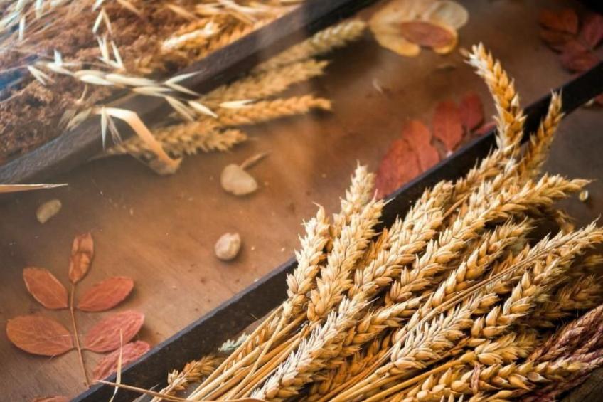 Rural House in the mountain of León - foto 3