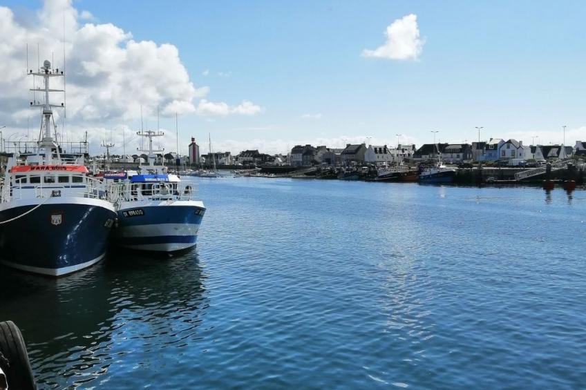 Bretagne Loctudy Haus Les Camélias 3 Personen - foto 36