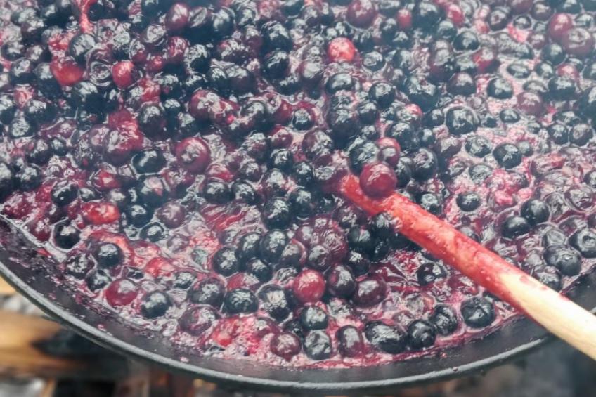 Vila Roberta Breaza Brasov - foto 34