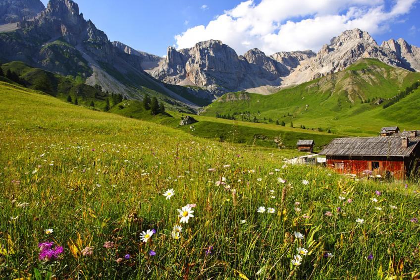 Haus Carmen (SOF801) - foto 29