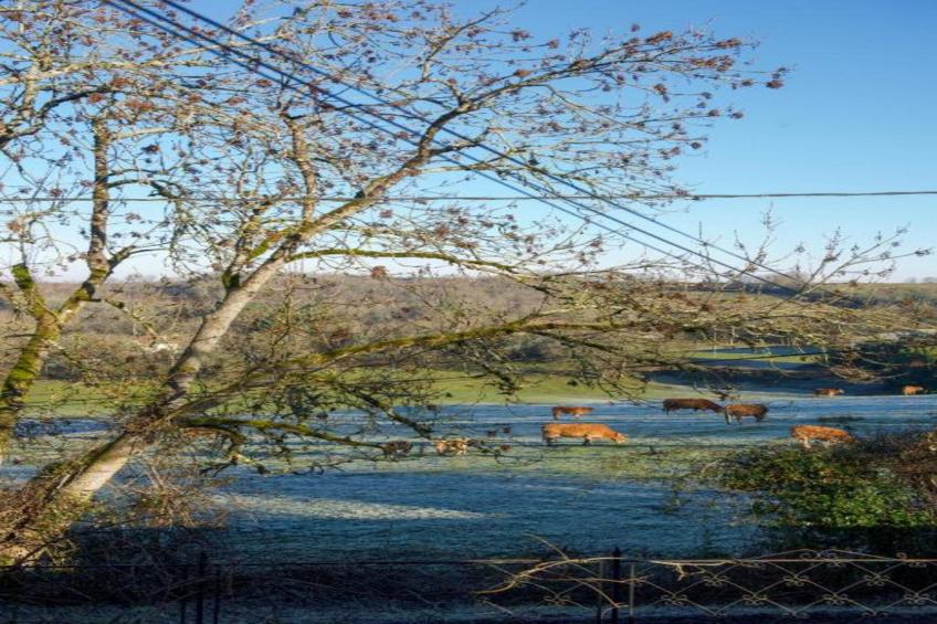 Le Chiquedou - foto 34