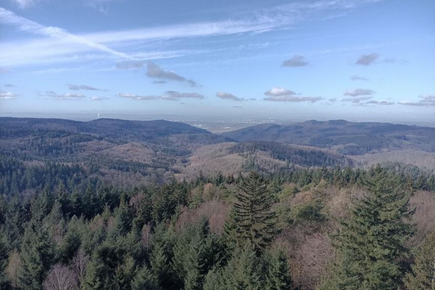 Odenwaldwellness - foto 40