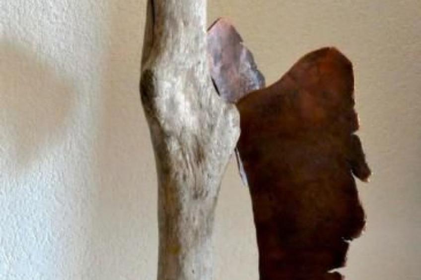 Chäserruggblick - foto 12