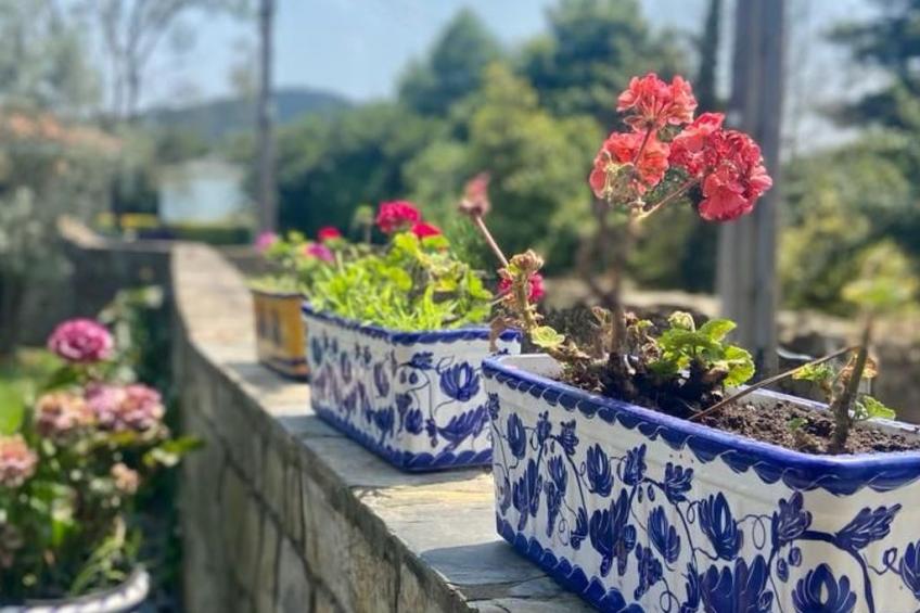 Ländliches Anwesen "Mar y Montaña" (Meer und Berge) - foto 31