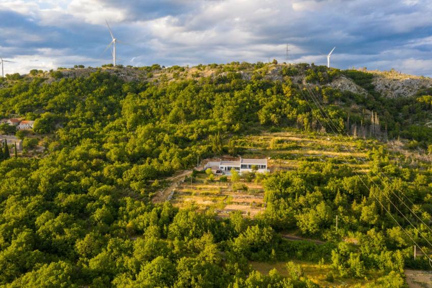 La Finca OliveTree - foto 5