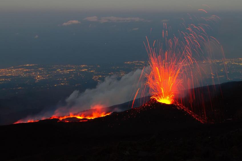 Das Delphin-Apartment - foto 15
