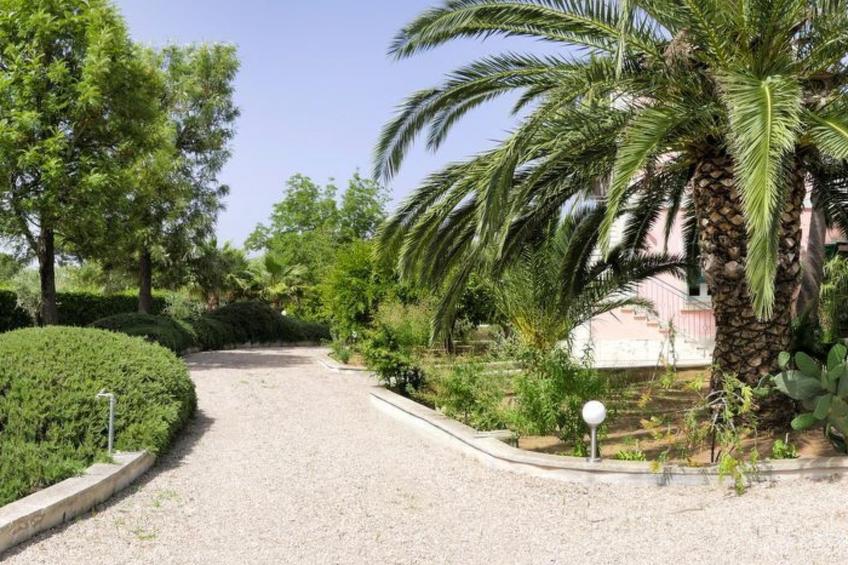 Sirgole Rosa - foto 4