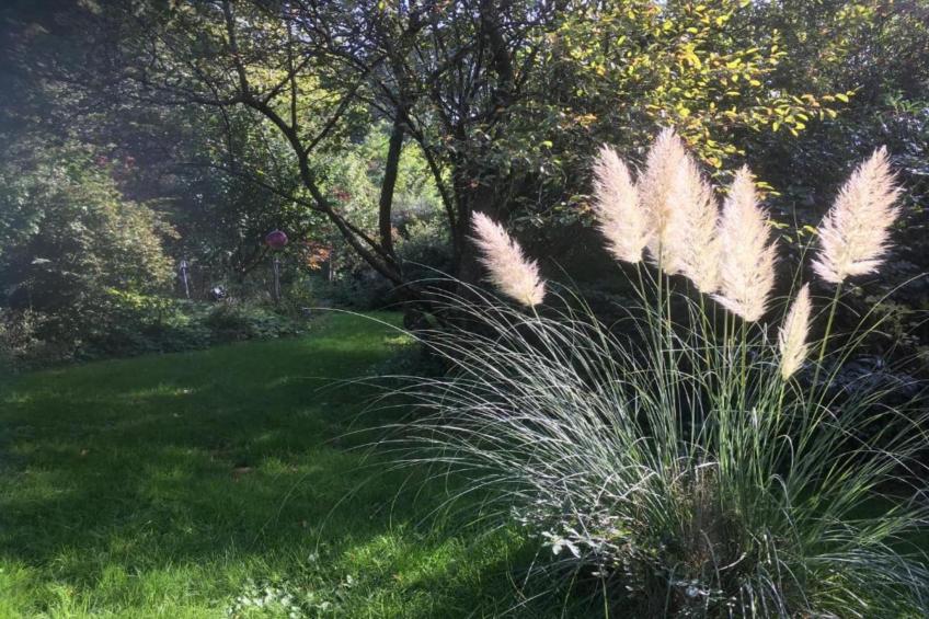 Vakantiepark Jägerwiesen - foto 21