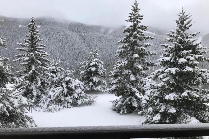 Le Mont d'Auron 1 - foto 24