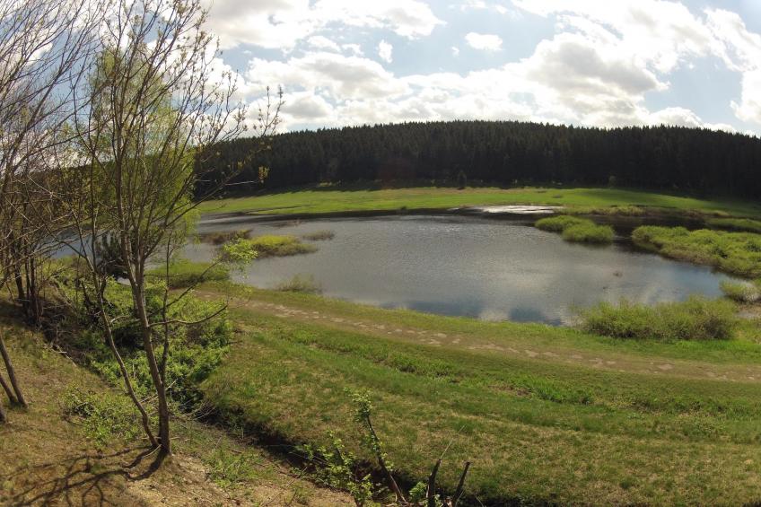 Ferienhaus in Hasselfelde - Haus 601 Auerhahn - foto 17