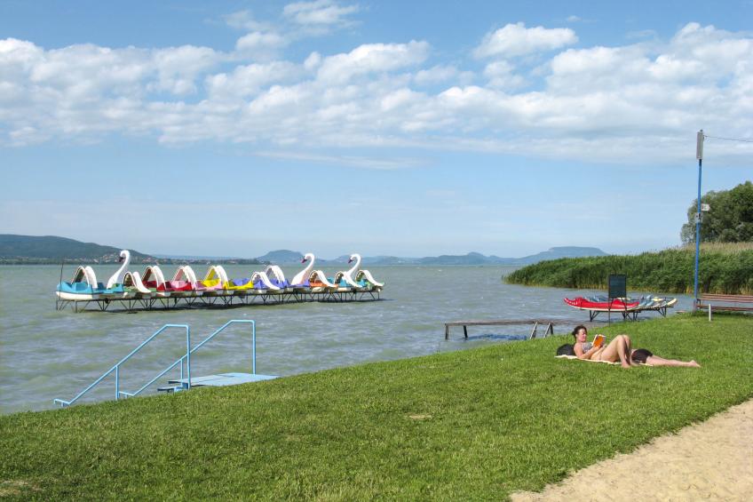 Szabo (MAF144) - foto 16