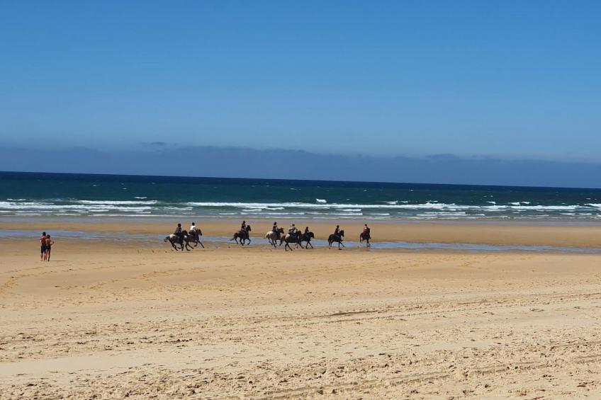 Villa Cocoon Contis-plage 1 chambre - foto 22