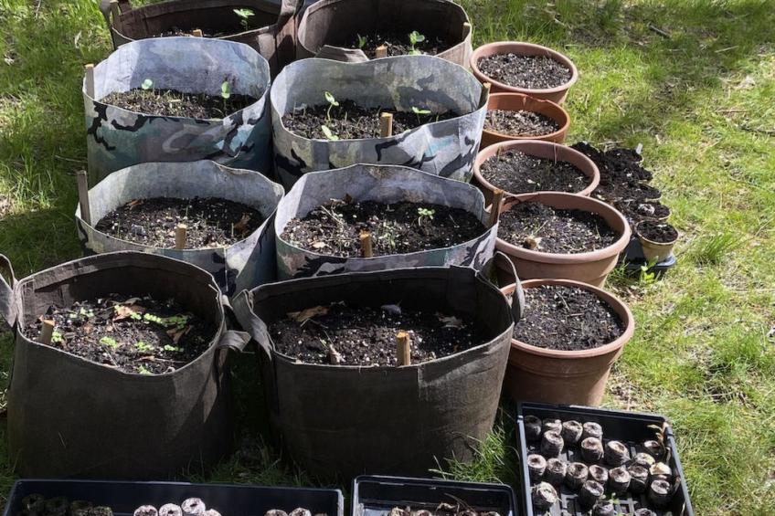 Kiltearn am See - foto 30