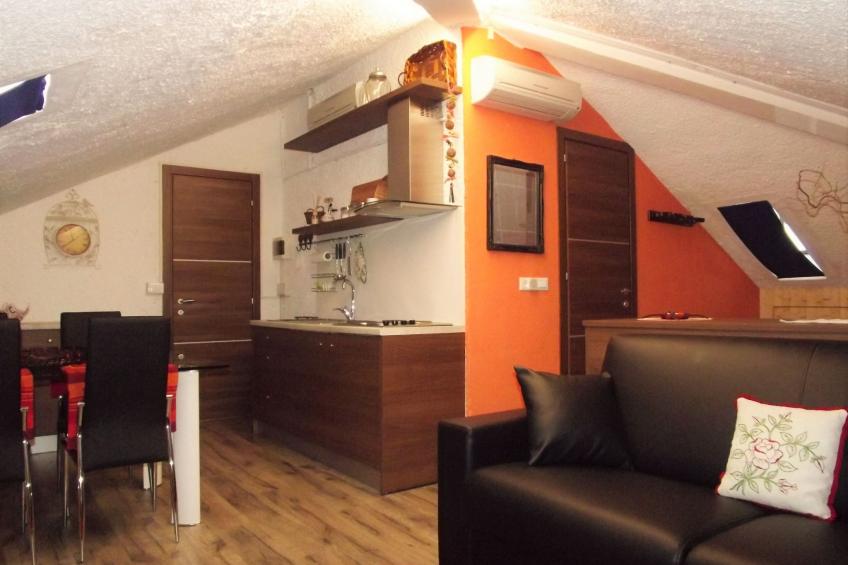 Flache Kornblume - foto 4