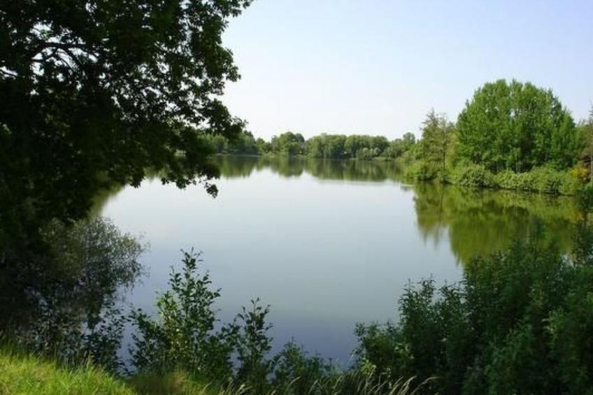 in Hage mit Garten, Terrasse und Grill - foto 12