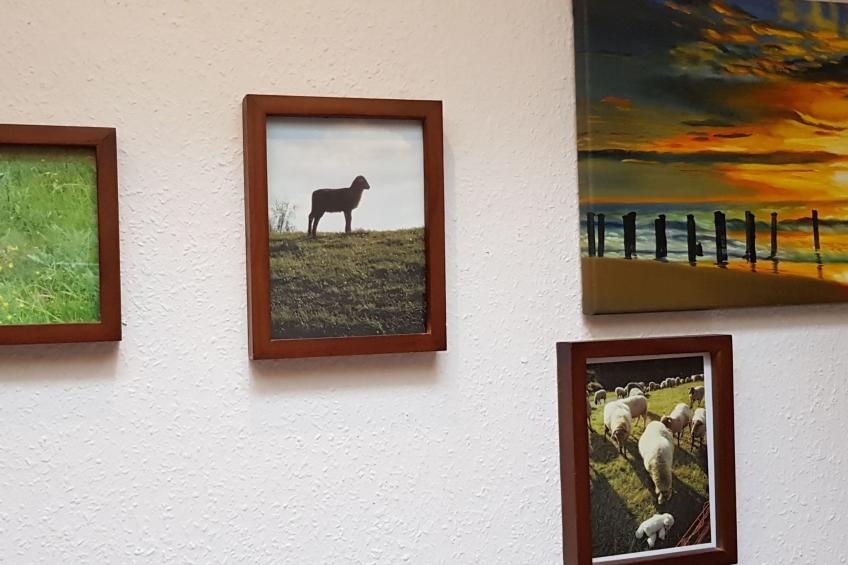 Lüneburger Süd - foto 14