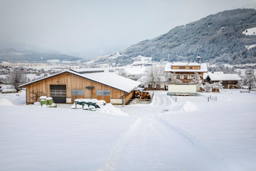 Hanserbauer - foto 33