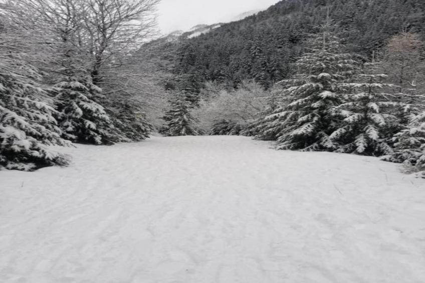 La Turra N°312 - 3P4 - foto 34