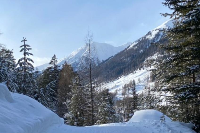 Chasa Ernst - foto 30