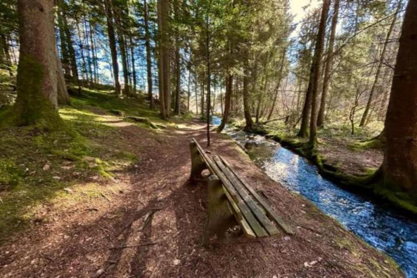 Am Wald - foto 36