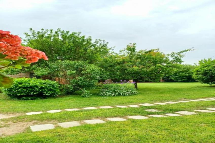 Violino Angelico 1 - foto 20