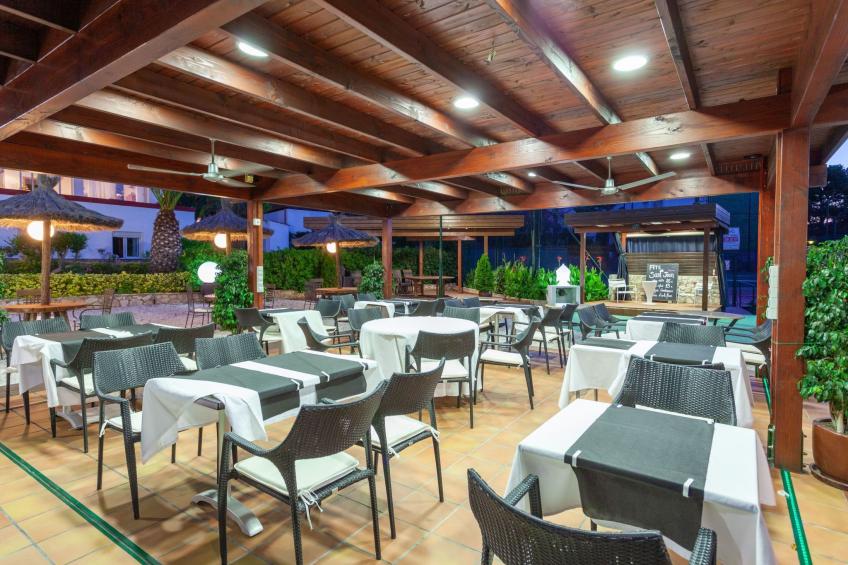 Palmiers 01 - foto 17