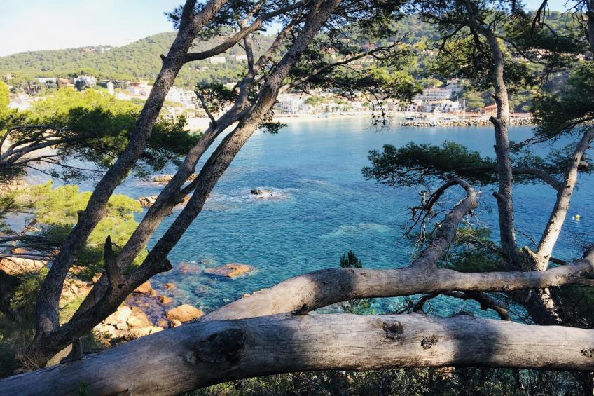 Ancora 14 B-1 - foto 11