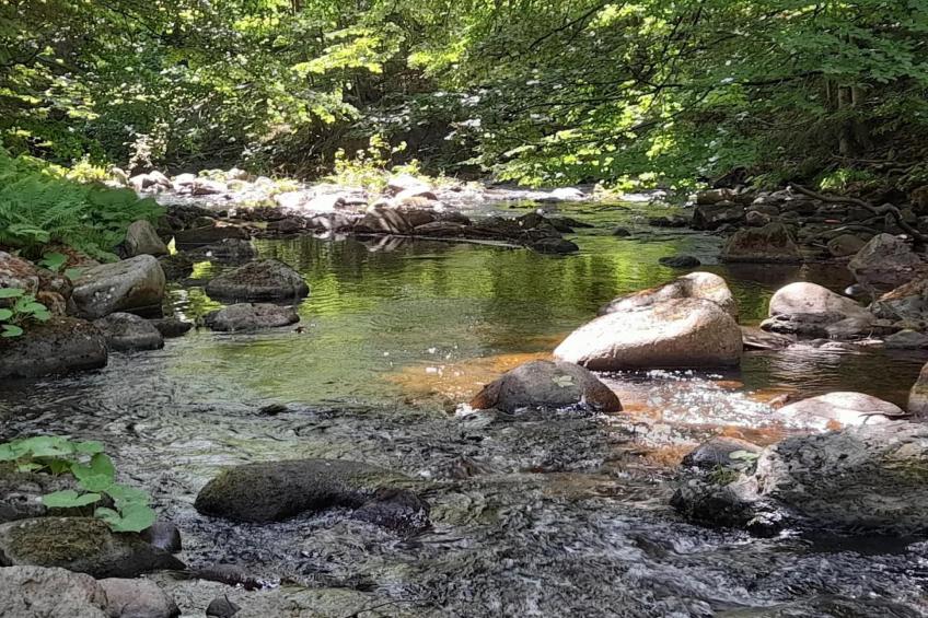 Hirsch best price  6 Pers|Hirsch best price , 6 Pers. - foto 33