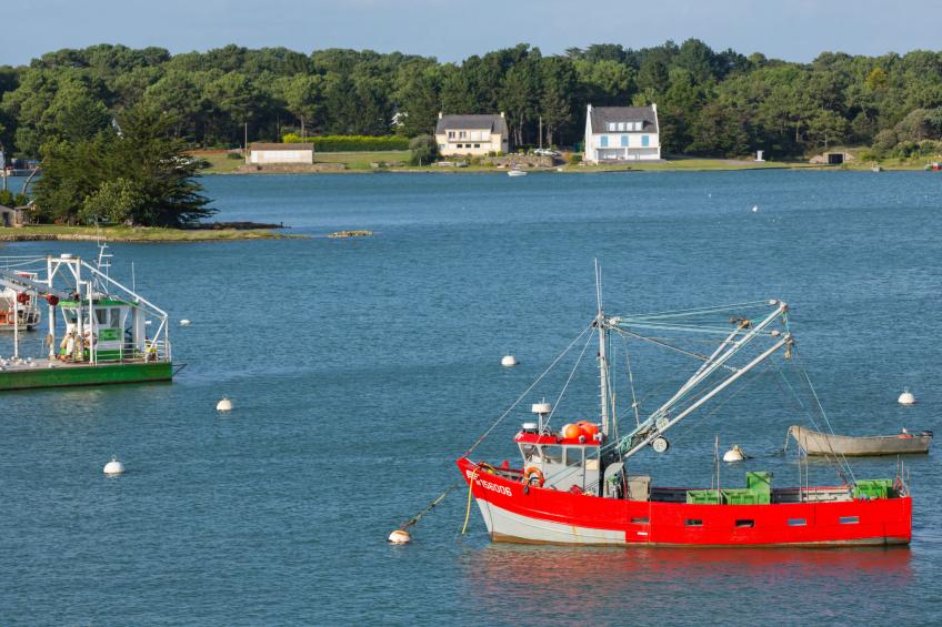 Les Voiles - foto 22