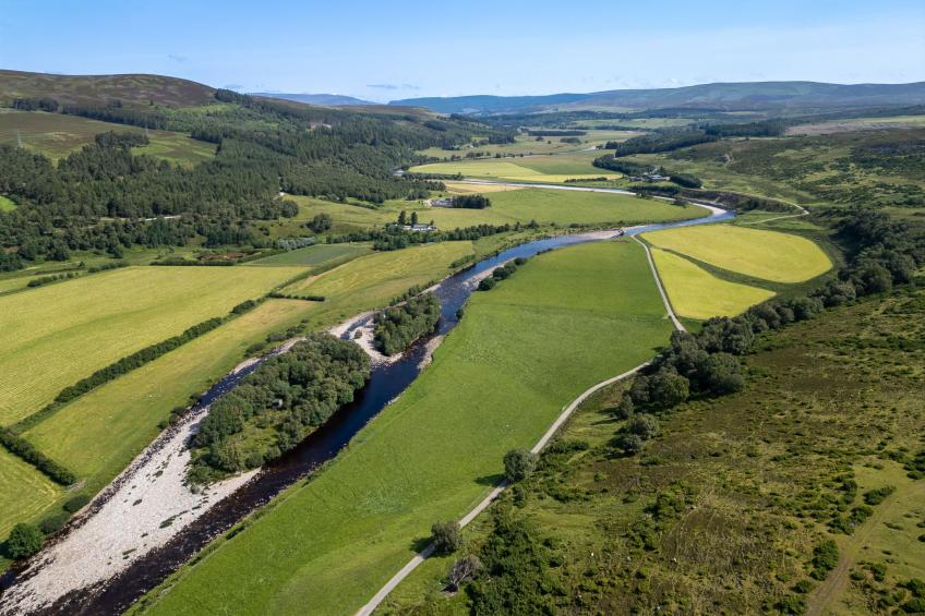 Strathnoon - foto 47