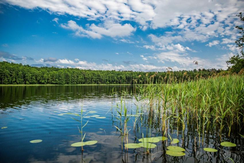 Dom pod Gruszą dla 4 os Klępnica - foto 21